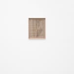 Lotus L. Kang, Mesoderm (Bloom II), 2022