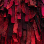 Lee ShinJa, Untitled, 2008