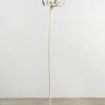 Minouk Lim, Shooting Star, 2022