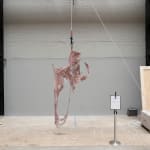 Mire Lee, Skin Sculpture from Open Wound: T2, 2024