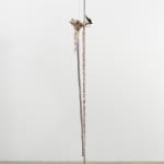 Minouk Lim, Shooting Star, 2022