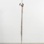 Minouk Lim, Shooting Star, 2022
