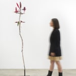 Minouk Lim, Shooting Star, 2022