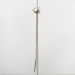 Minouk Lim, Shooting Star, 2022