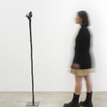 Minouk Lim, Shooting Star, 2022