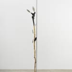 Minouk Lim, Shooting Star, 2022