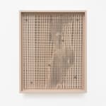 Lotus L. Kang, Mesoderm (Bloom II), 2022