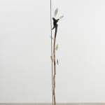 Minouk Lim, Shooting Star, 2022