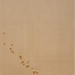 Kim Tschang-Yeul, Waterdrops, 1983