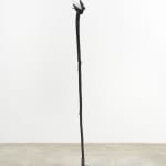 Minouk Lim, Shooting Star, 2022