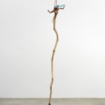 Minouk Lim, Shooting Star, 2022