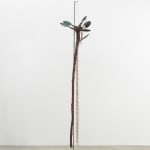 Minouk Lim, Shooting Star, 2022