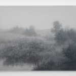 Kibong Rhee, Mistygraphy- Cut Section 5, 2024