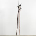 Minouk Lim, Shooting Star, 2022