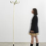 Minouk Lim, Shooting Star, 2022