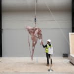Mire Lee, Skin Sculpture from Open Wound: T2, 2024