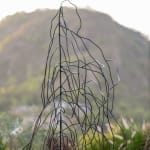 何兆基 HO Siu Kee, 嵯峨噫 Lament of the Lofty Crag, 2025