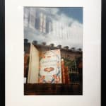 Dorothy Bohm, Bookshop Window, rue Férou, Paris, 1988