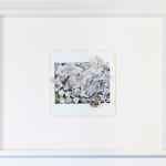 Gohar Dashti, Untitled #7, 2023