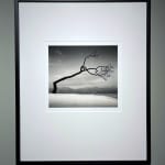 Michael Kenna, Ponti di Spagna, Bondeno, Ferrara, Italy, 2018