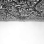 Qiu Yangzi, Pine isn't here, 2015
