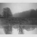 Cyrus Mahboubian, Untitled I, from the series Murmur (Composites), 2020