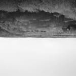 Qiu Yangzi, Pine isn't here, 2015
