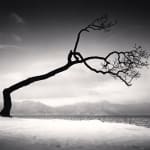 Michael Kenna, Ponti di Spagna, Bondeno, Ferrara, Italy, 2018