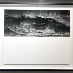 Qiu Yangzi, Pine isn't here, 2015