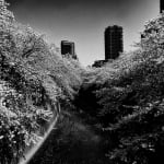 Daido Moriyama, How to Make Beautiful Photos, 1987
