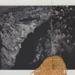 Cyrus Mahboubian, Untitled I, from the series Murmur (Composites), 2020