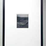 Cyrus Mahboubian, Untitled I, from the series Murmur (Composites), 2020