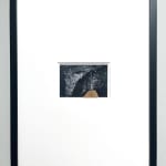 Cyrus Mahboubian, Untitled I, from the series Murmur (Composites), 2020