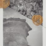 Cyrus Mahboubian, Untitled I, from the series Murmur (Composites), 2020