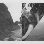 Cyrus Mahboubian, Untitled I, from the series Murmur (Composites), 2020