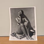 Vee Speers, Untitled #20 (Icarus), 2013