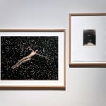 Paul Cupido, Uta, 2021