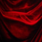 Antoine Wagner, Forest of Curtains, 2024