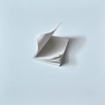 Alison Watt, Fortrose, 2022