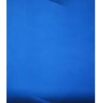 Vipeksha Gupta, Untitled XVII, 2024