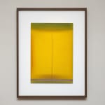 Vipeksha Gupta, Untitled XIII, 2024