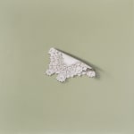 Alison Watt, Fortrose, 2022