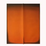 Vipeksha Gupta, Untitled XVII, 2024