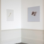 Alison Watt, Fortrose, 2022