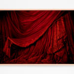 Antoine Wagner, Forest of Curtains, 2024