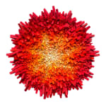 Chun Kwang Young, Aggregation24-MY045, 2024