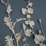 Kaori Tatebayashi, Herbaceous Border, 2018-19