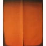Vipeksha Gupta, Untitled XVII, 2024