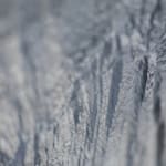 Caroline Landau, Archiving Ice: Svalbard #2, 2021