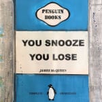 James mcqueen artist penguin book blue art you snooze you lose harland miller